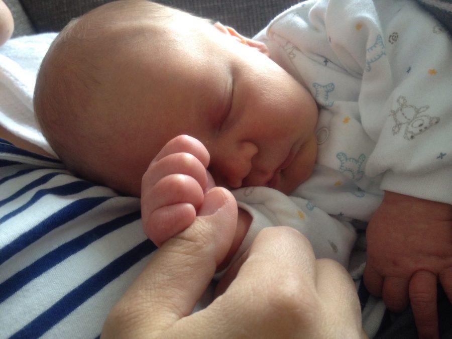 2015: Second child and first publications