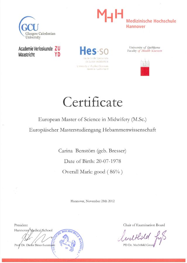 2010 to 2012: European Master's programme